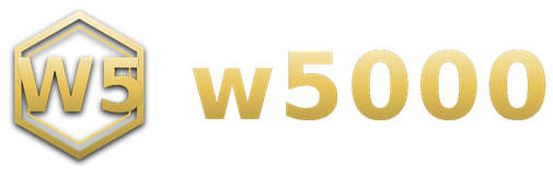 w5000 logo